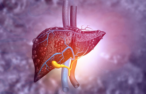 What Is Fatty Liver Medicine?