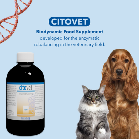 CITOVET - Veterinary Vitamins & Supplement- Support Digestive Health, Gut Health, Immune Support & Coat Health