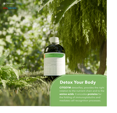 CITOZYM - Support Natural Detox, Immune and Longevity Support