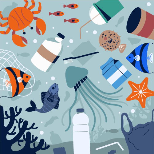 The Impact of Microplastics and Nanoplastics on the Environment and Human Health