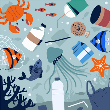 The Impact of Microplastics and Nanoplastics on the Environment and Human Health