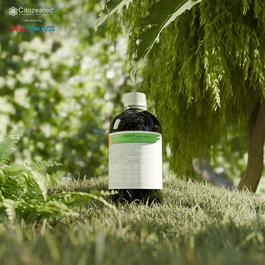 Longevity Supplement for Healthy Aging, Cellular Energy,  and Detoxification