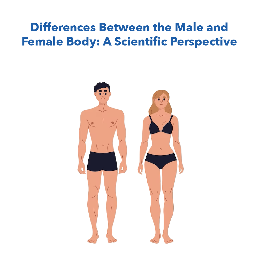 Differences Between the Male and Female Body: A Scientific Perspective