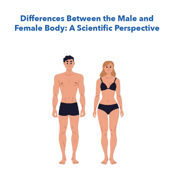 Differences Between the Male and Female Body: A Scientific Perspective