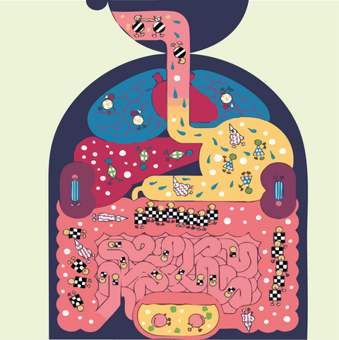 The Power of Gut Microbiota