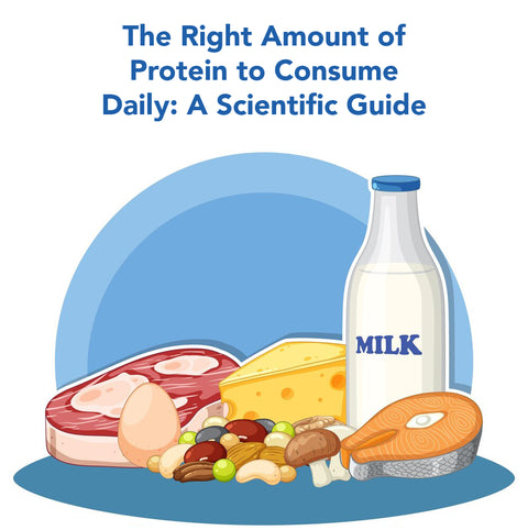 The Right Amount of Protein to Consume Daily: A Scientific Guide