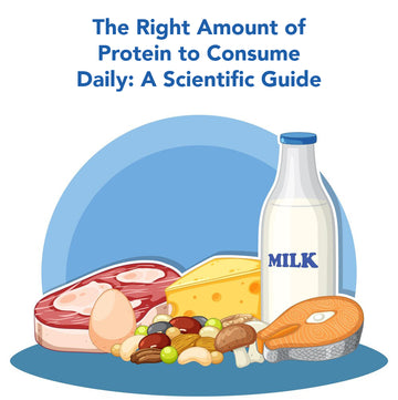 The Right Amount of Protein to Consume Daily: A Scientific Guide