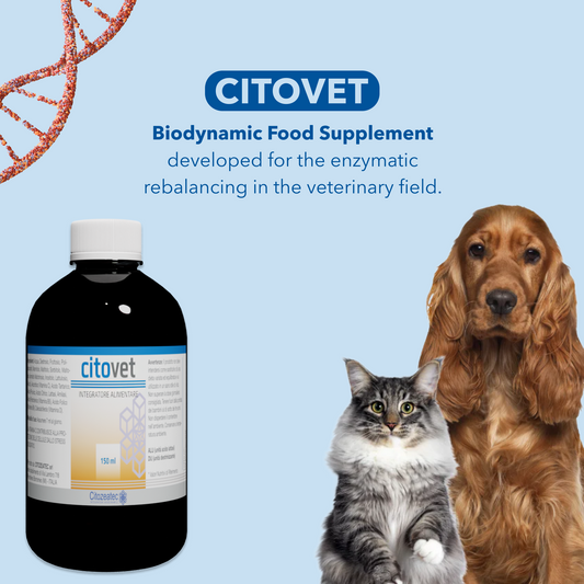 CITOVET - Veterinary Vitamins & Supplement- Support Digestive Health, Gut Health, Immune Support & Coat Health