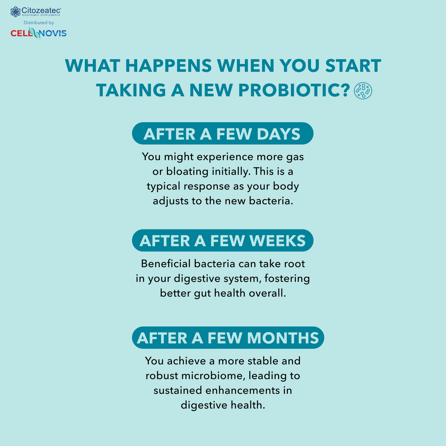 PROBIOTIC P-450 - Daily Probiotic (13 Billion CFU)