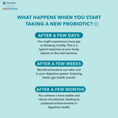 PROBIOTIC P-450 - Daily Probiotic For Immune, Digestive & Gut Health - Supports Occasional Constipation, Diarrhea, Gas & Bloating - for Women & Men - 13 billion CFU