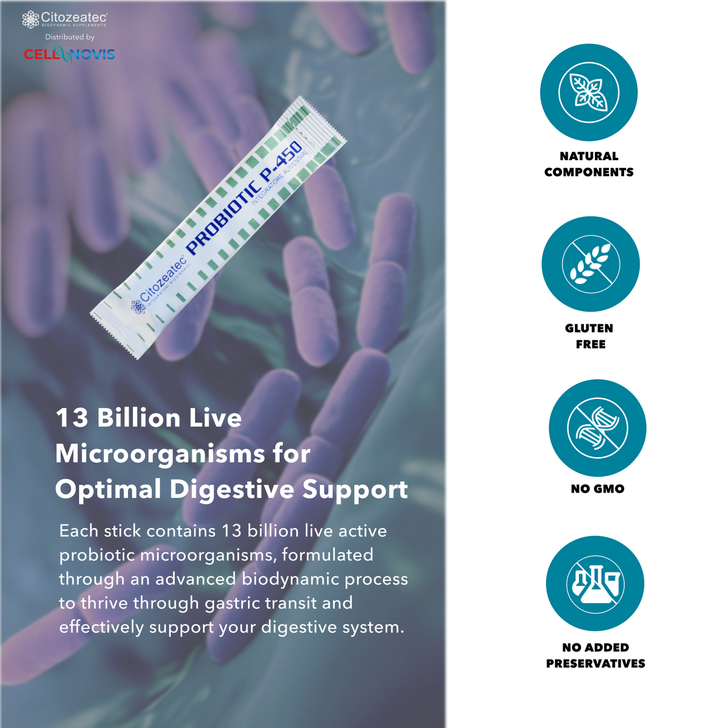 PROBIOTIC P-450 - Daily Probiotic (13 Billion CFU)
