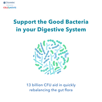 PROBIOTIC P-450 - Daily Probiotic (13 Billion CFU)