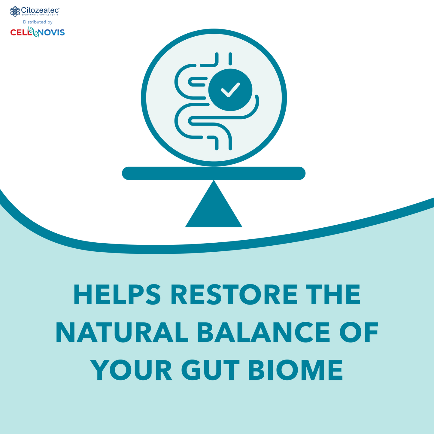 PROBIOTIC P-450 - Daily Probiotic (13 Billion CFU)