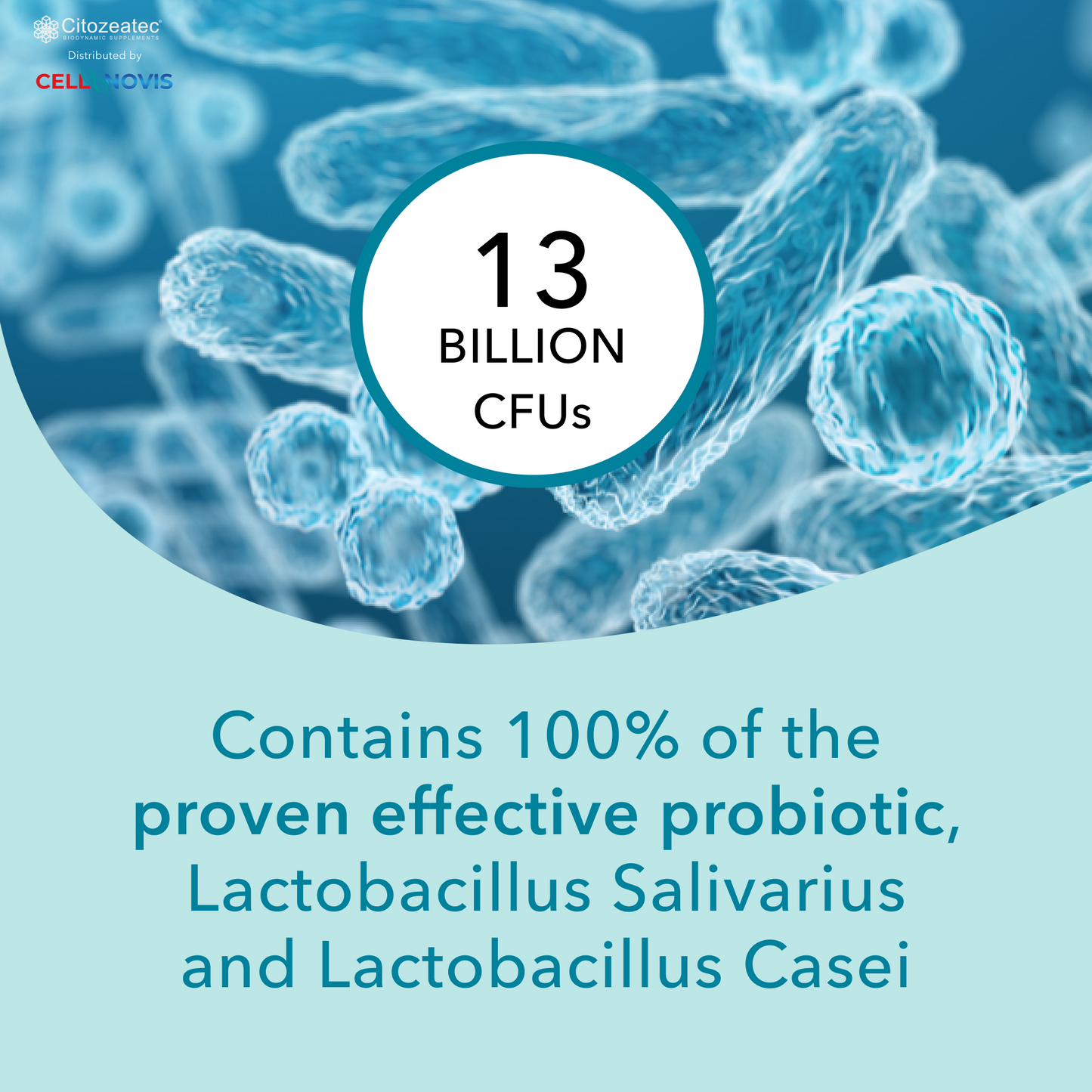 PROBIOTIC P-450 - Daily Probiotic (13 Billion CFU)