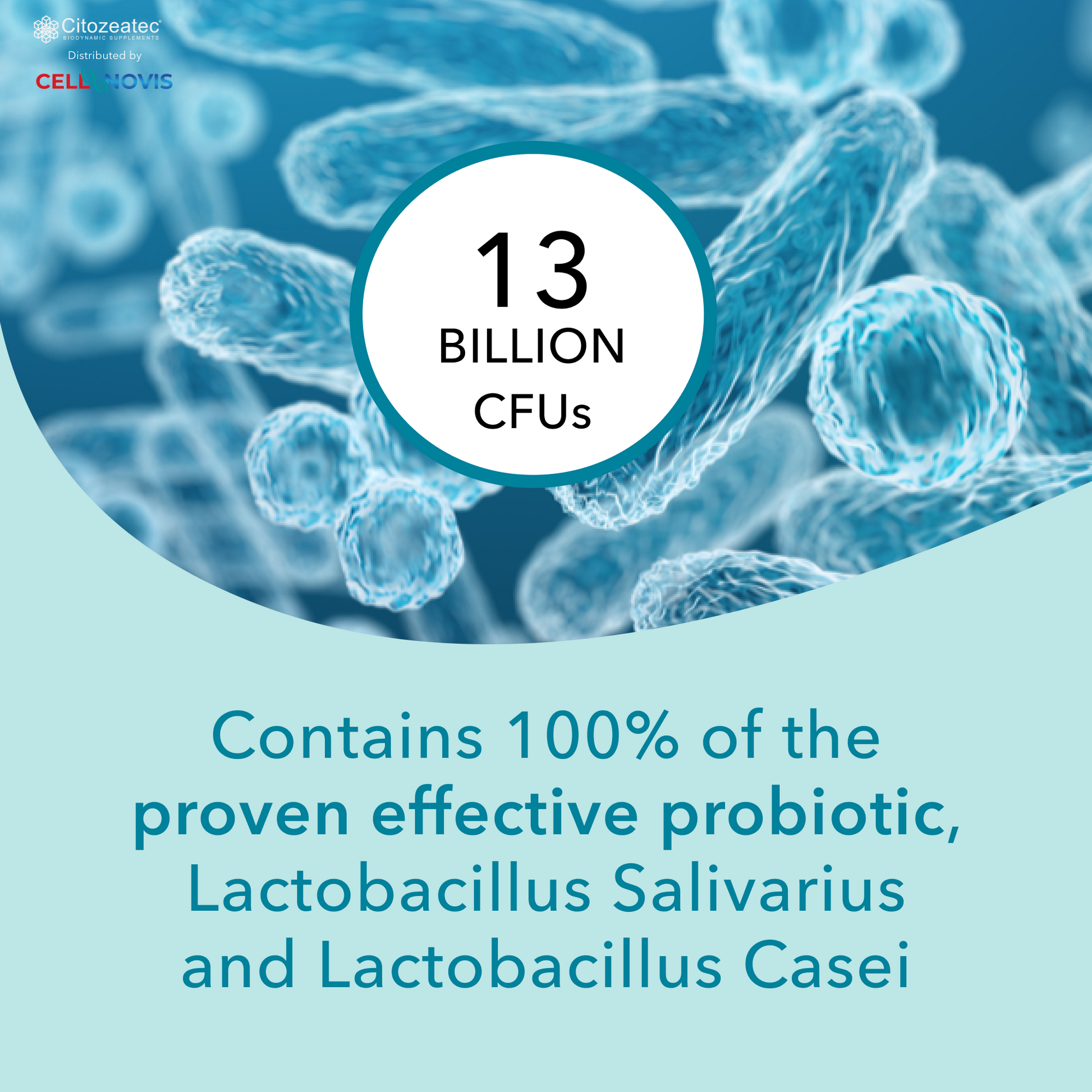 PROBIOTIC P-450 - Daily Probiotic For Immune, Digestive & Gut Health - Supports Occasional Constipation, Diarrhea, Gas & Bloating - for Women & Men - 13 billion CFU